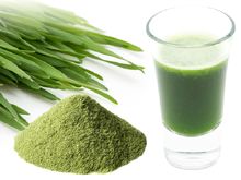 グラスに注がれた小麦若葉パウダー（ウィートグラス）